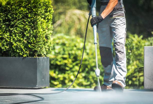 Professional Pressure Washing Services in Ruston, WA